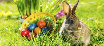 Početné úrazy aj poškodený majetok: Veľkonočným sviatkom sa nevyhýbajú ani kuriózne škody