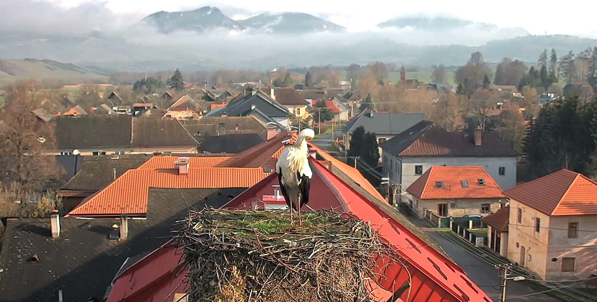 Návrat sťahovavých vtákov môžete sledovať aj online