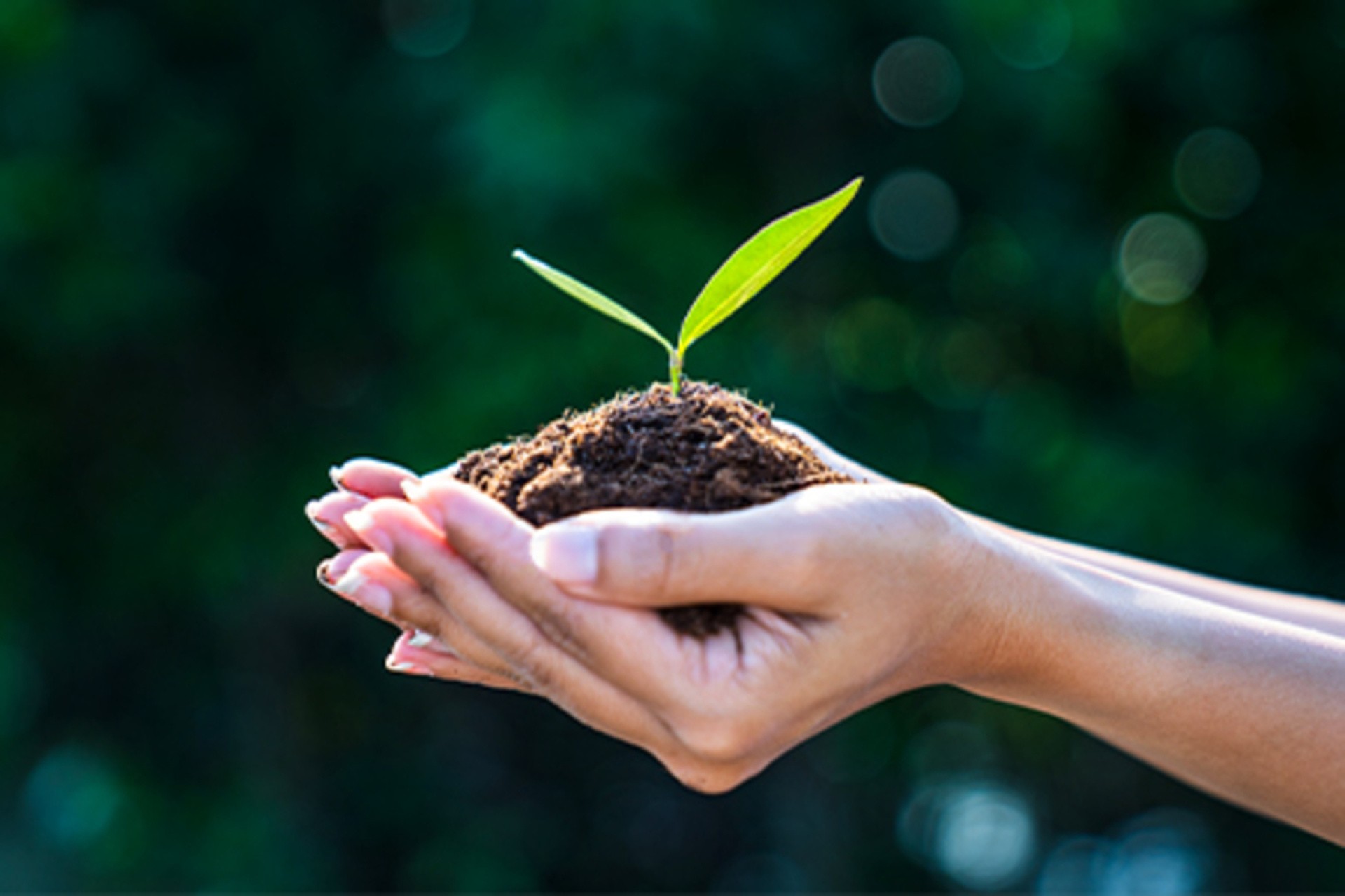 22. apríl – Deň Zeme