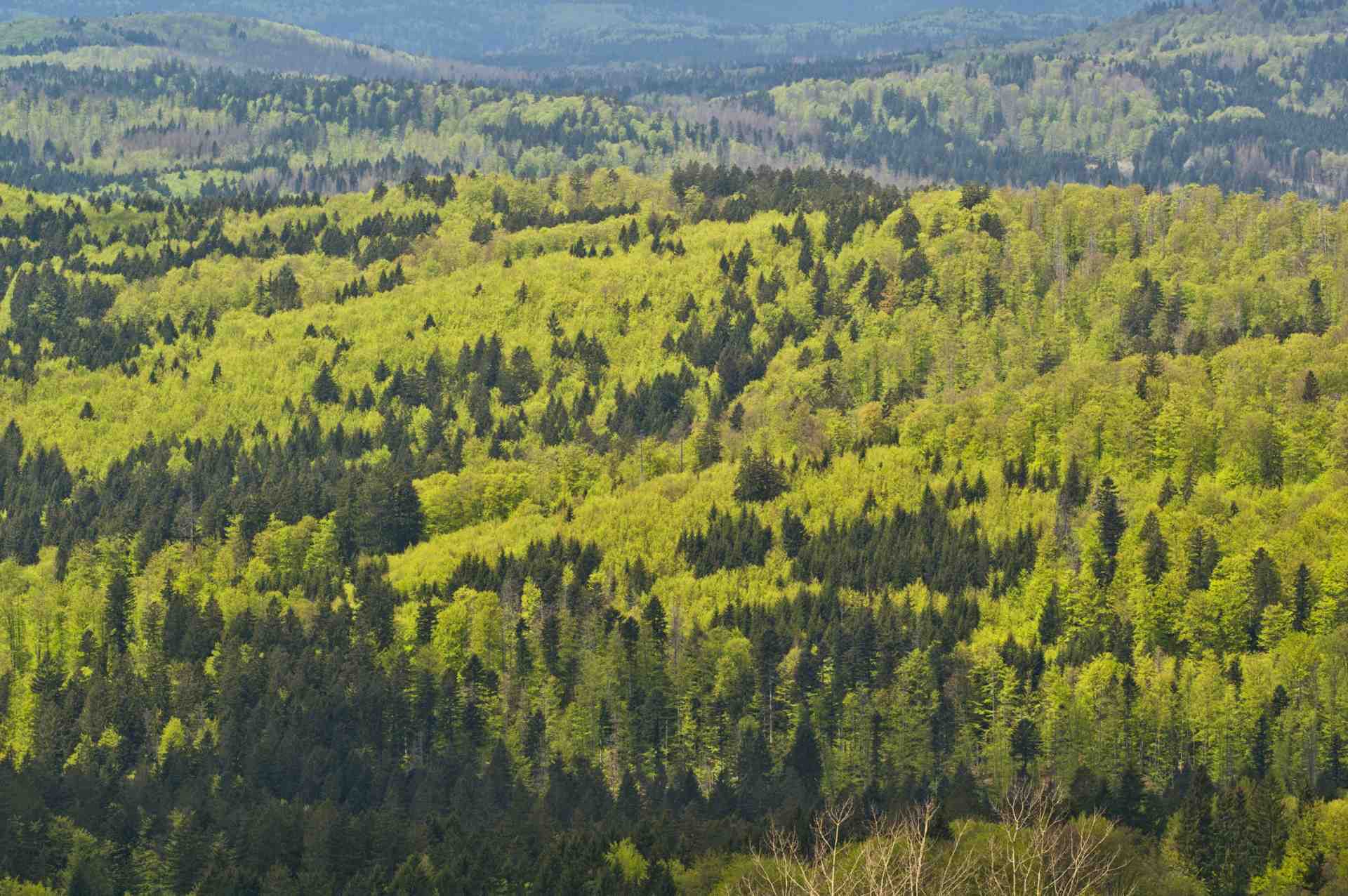 Spoločnosť Epson v Európe dosiahla cieľ 100 % využívania elektrickej energie z obnoviteľných zdrojov