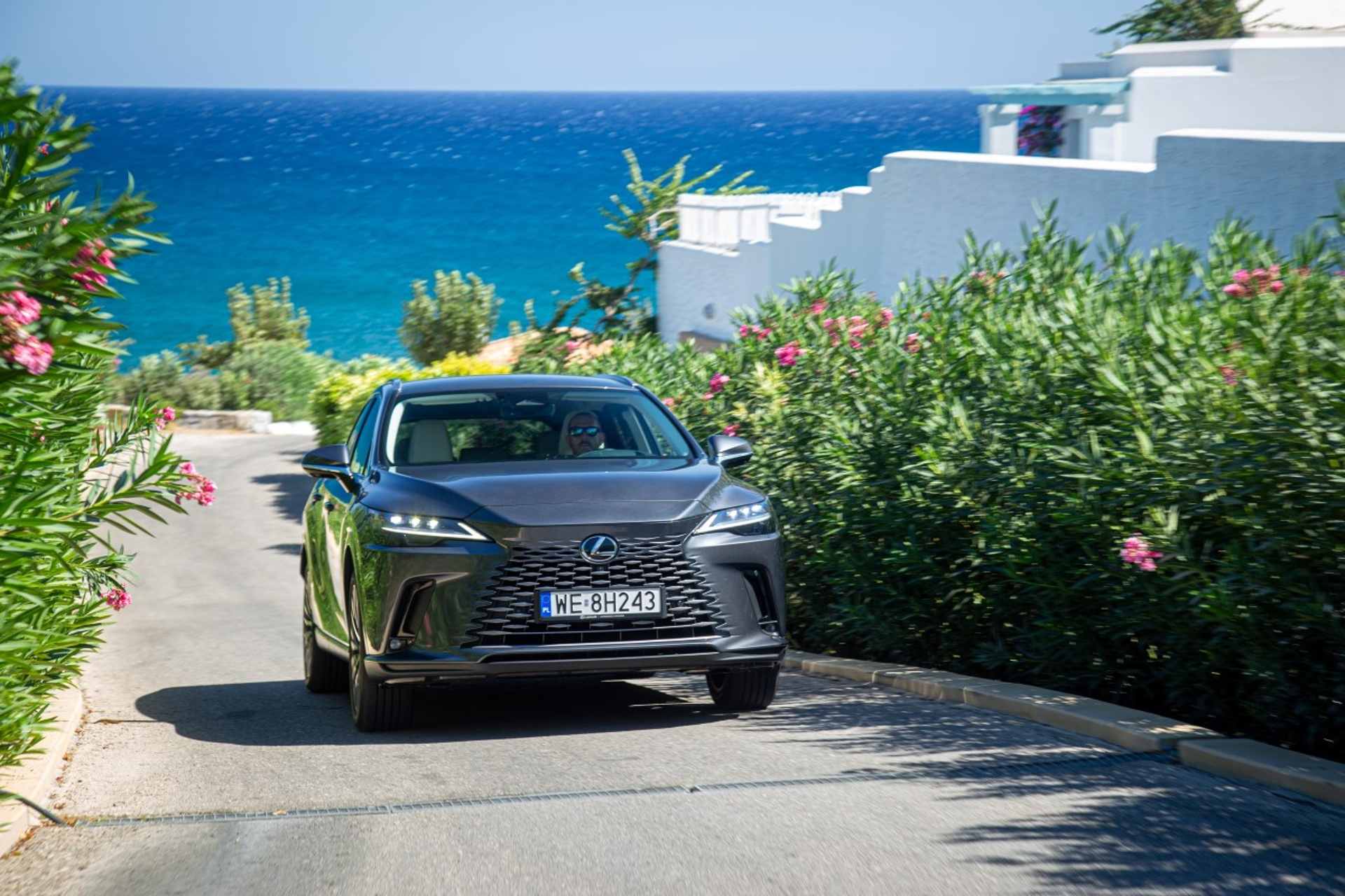 Lexus RX ocenený za efektívny hybridný pohon