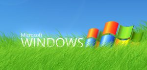 Microsoft: Používanie AI na Slovensku stabilne rastie. Školy rozhodnú, či sa rast zmení na výhodu