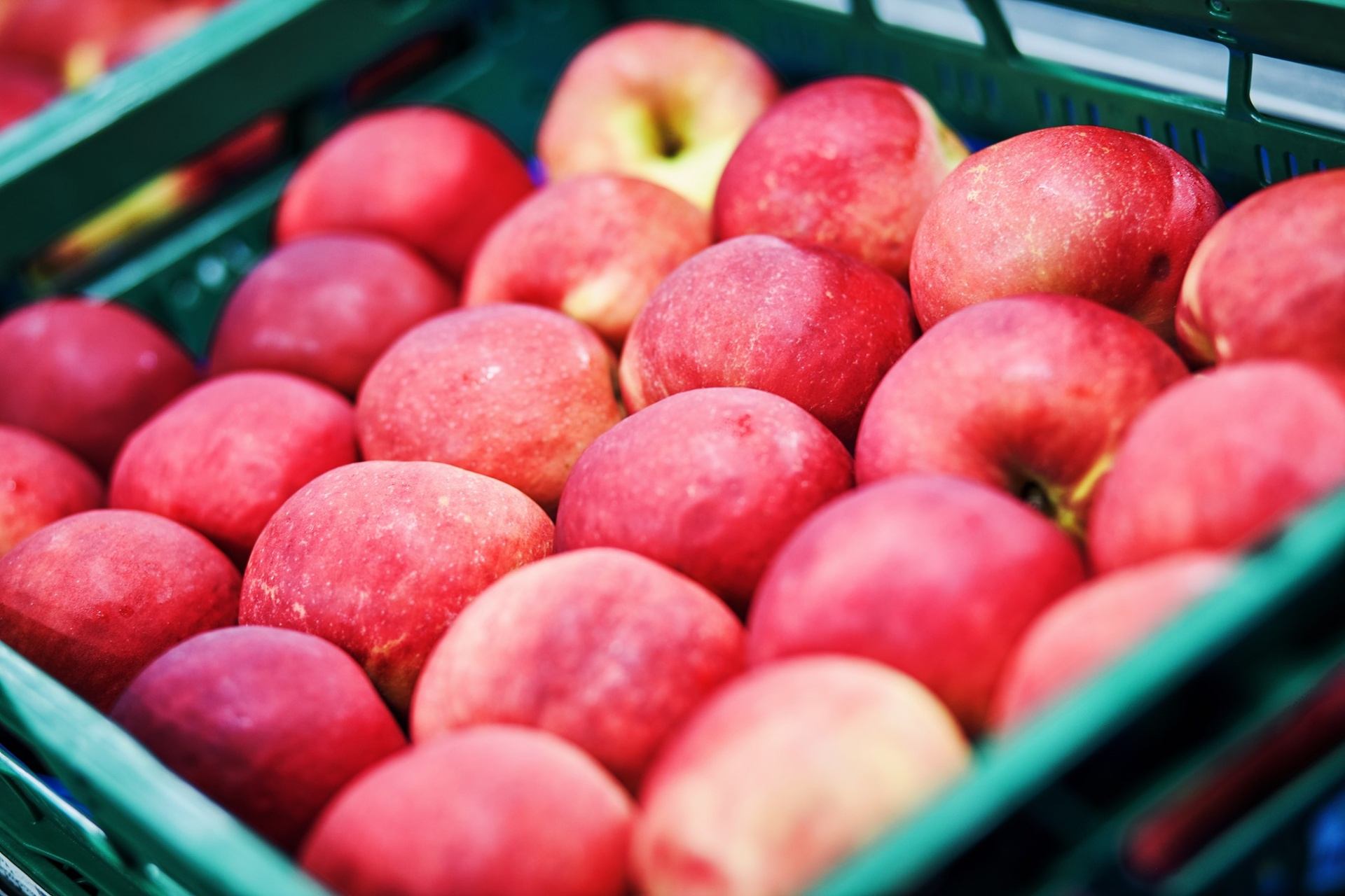 Oslávte Deň pôvodných odrôd jabĺk s Lidlom