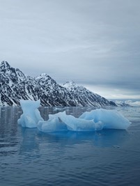 motorola a corning_north_pole