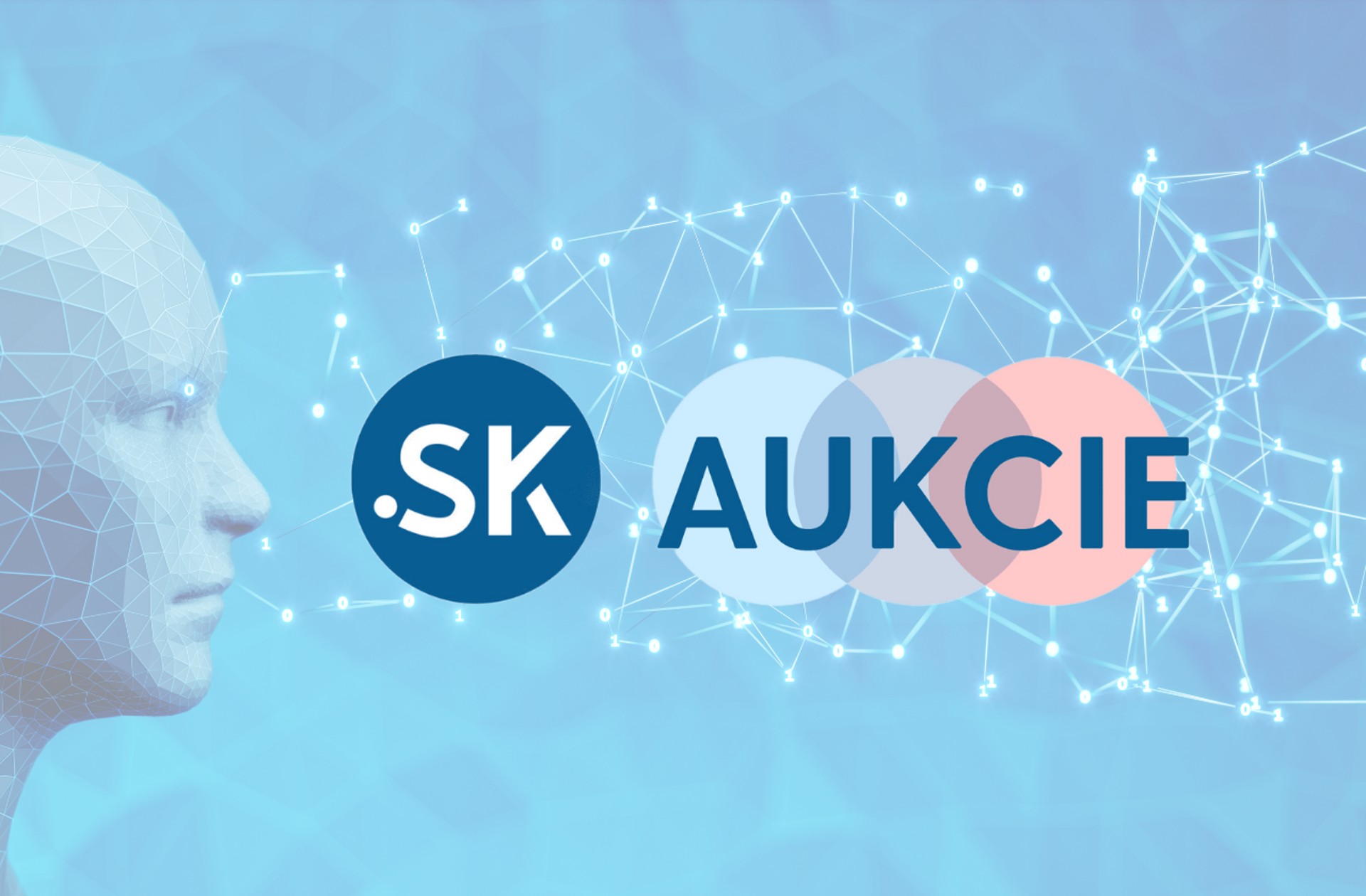 SK-NIC otvára aukcie unikátnych .sk domén pre všetkých