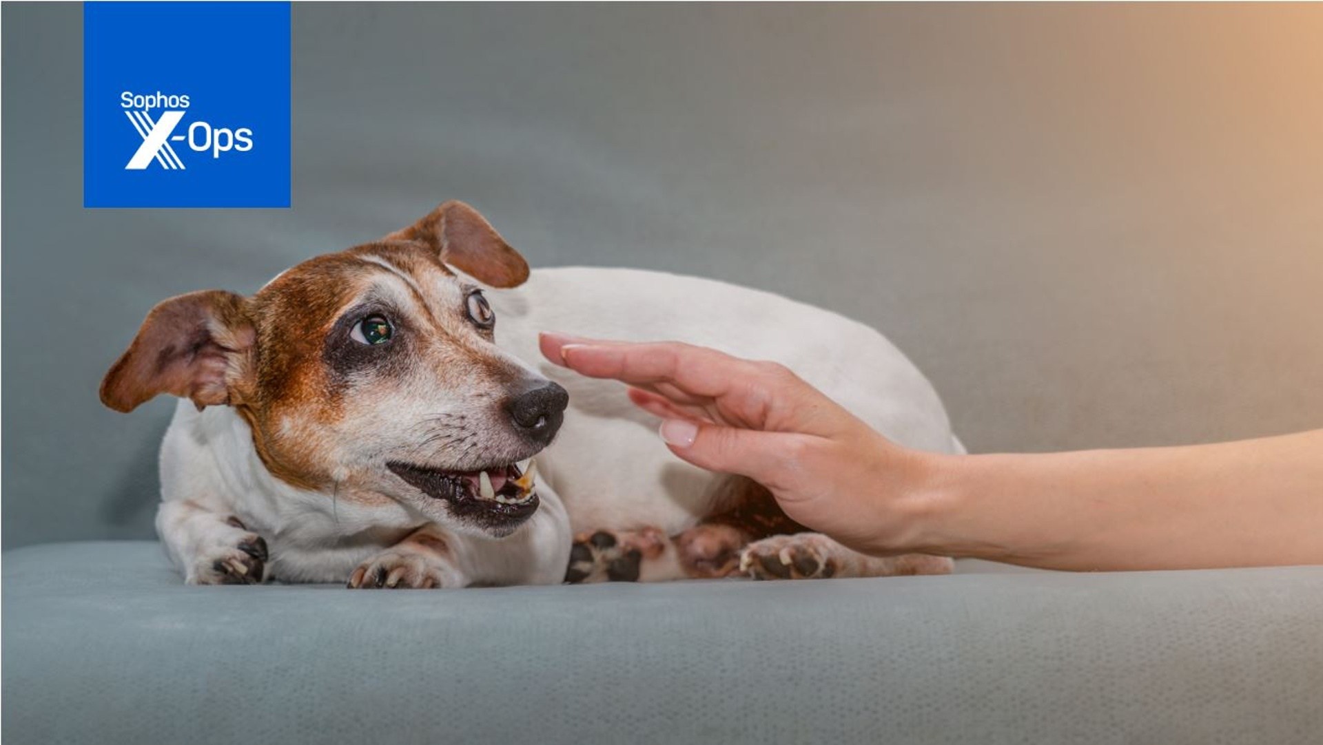 Zneužitie nástrojov od Microsoftu k útokom vzrástlo od roku 2023 o 51 %