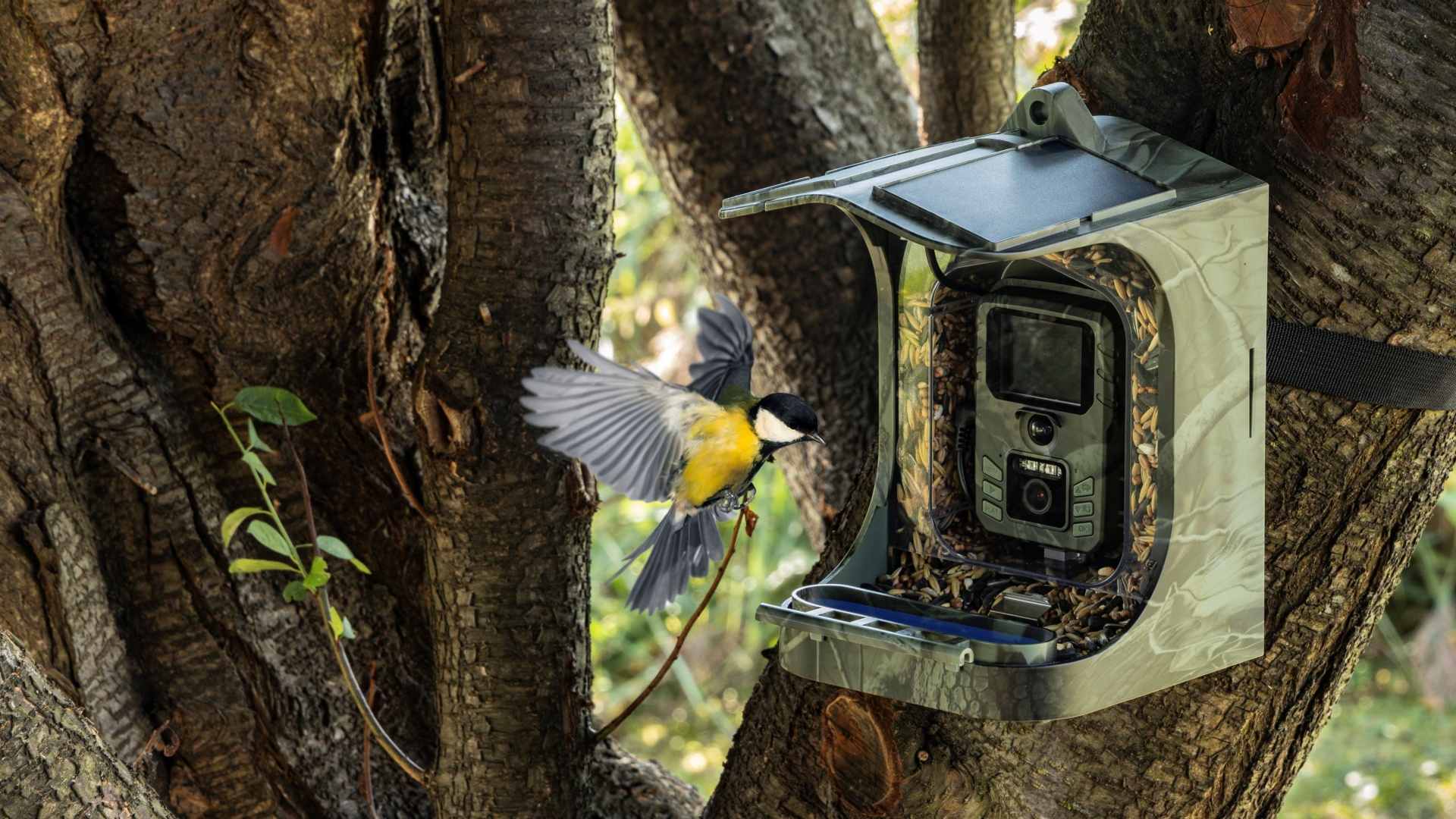 EVOLVEO StrongVision BirdFeeder. Inteligentné kŕmidlo pre vtáky s kamerou, diaľkovým prístupom a solárnym panelom