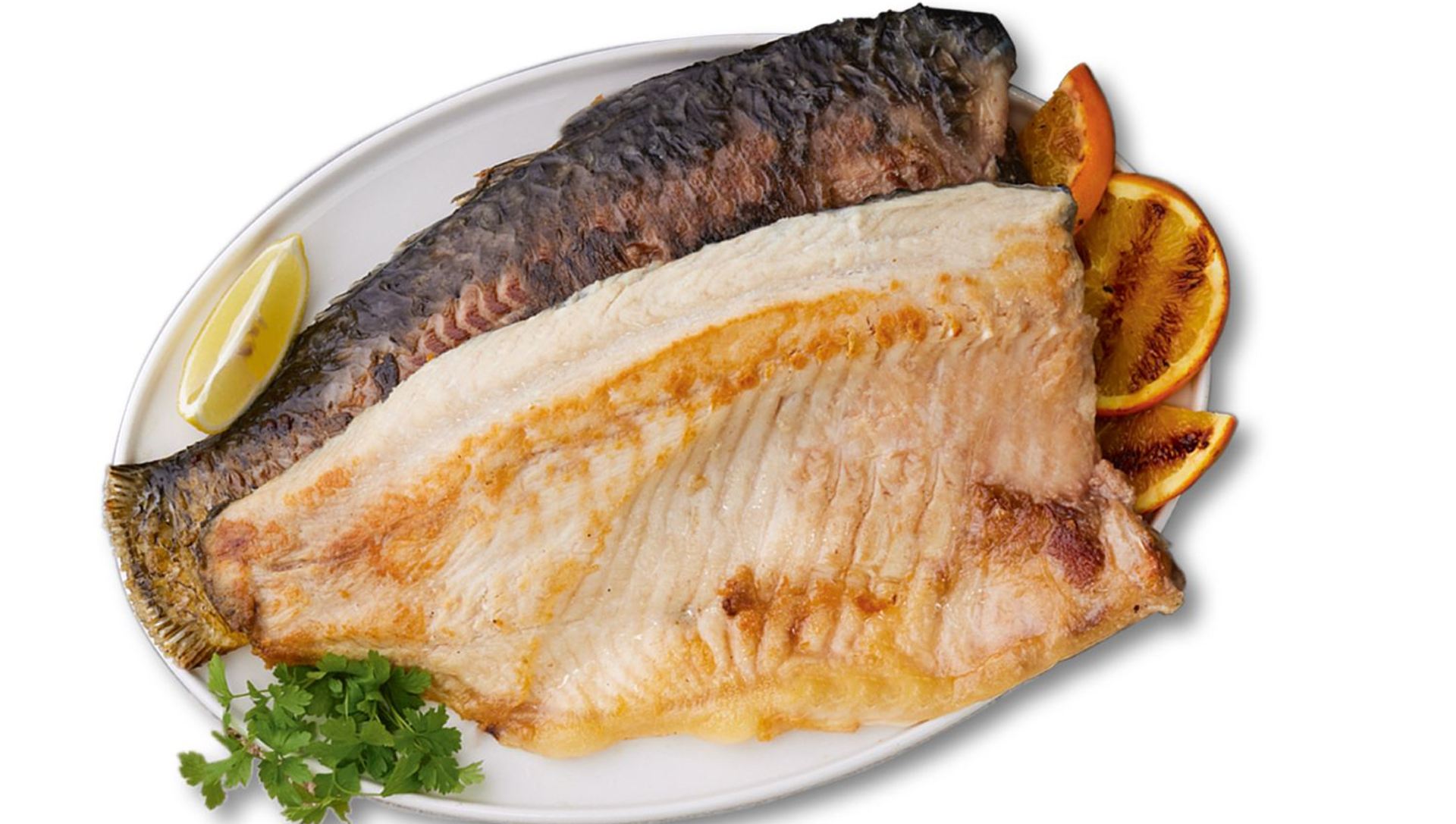 Vyberte si pre vás tú pravú – rybu