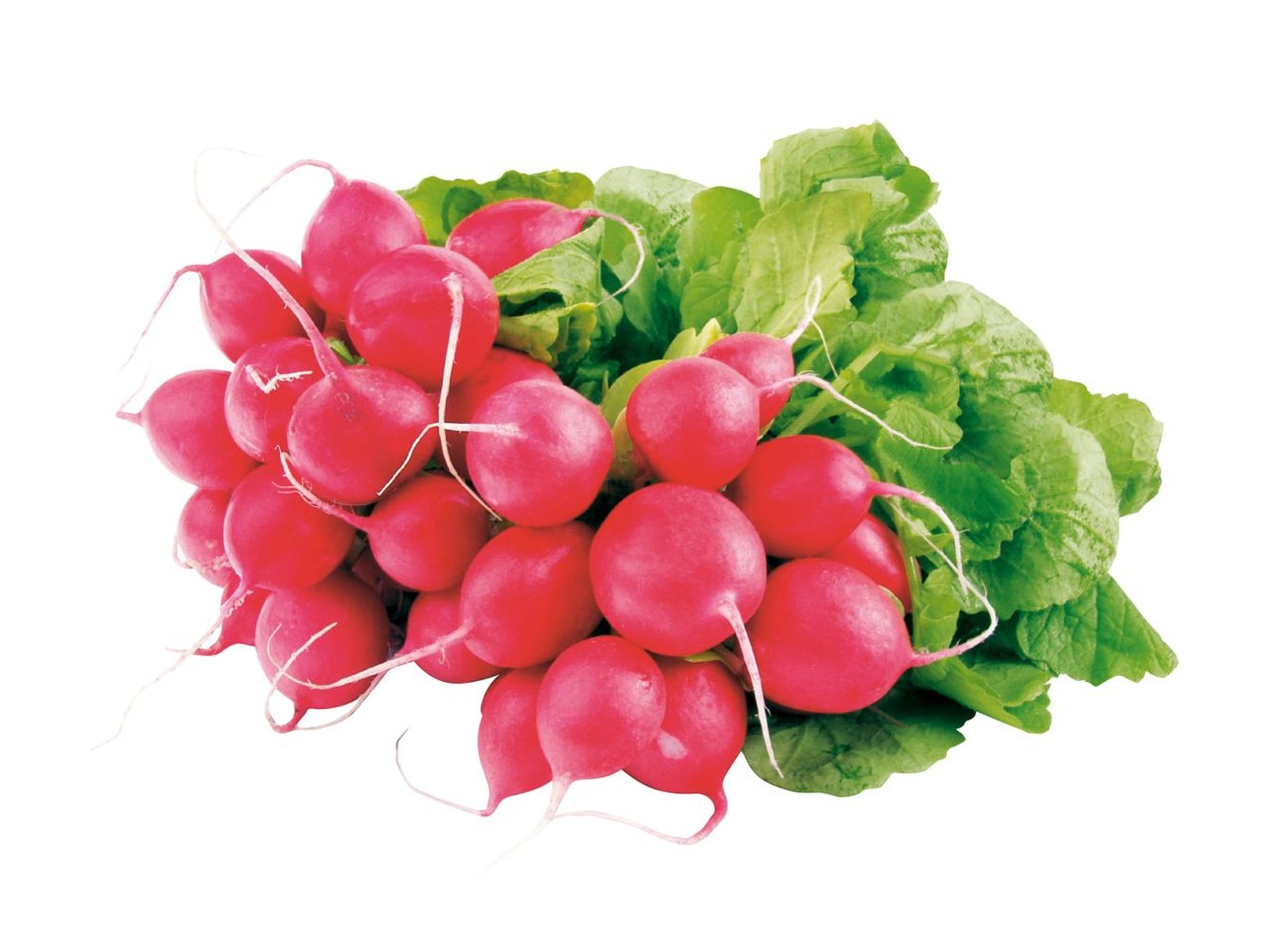 Zdravé obličky začínajú na tanieri. Kľúčom je prevencia, ktorú nájdete aj v Lidli