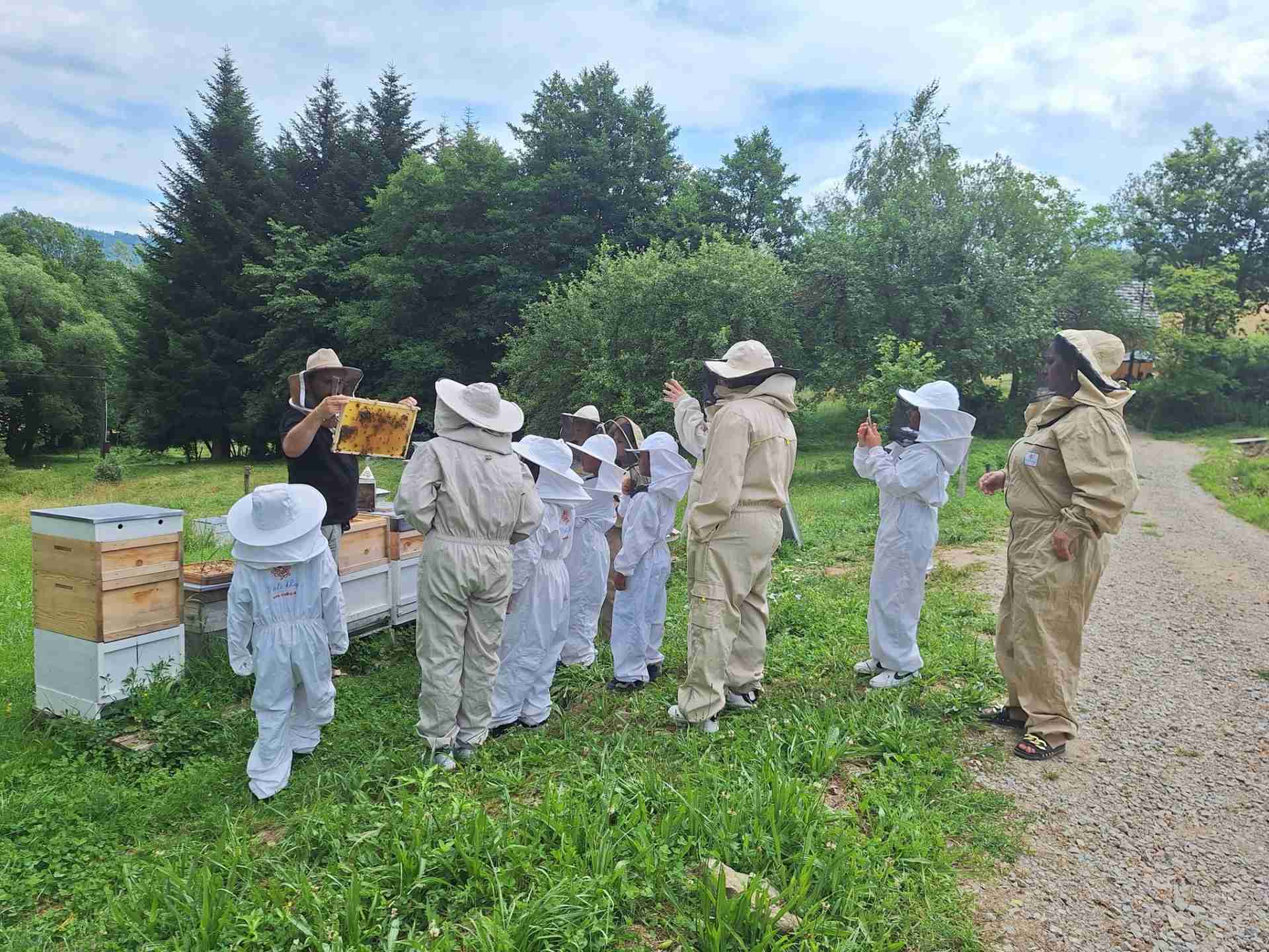 Nahliadnite do úžasného života včiel