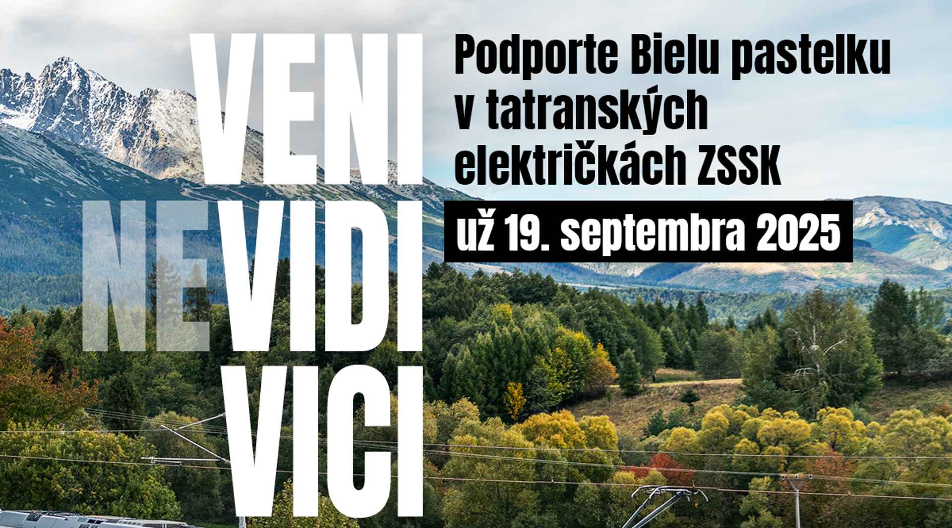 Staňte sa súčasťou zbierky Bielej pastelky – aj počas jazdy vlakom v Tatrách