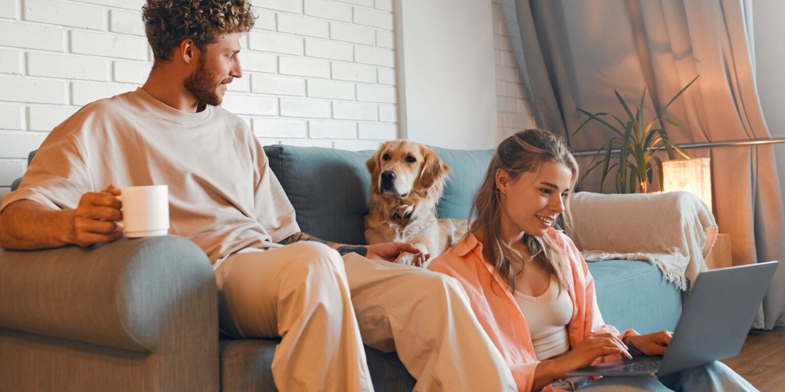 Allegro zvládlo predvianočný maratón: 99,5 % zásielok doručilo pred Vianocami načas