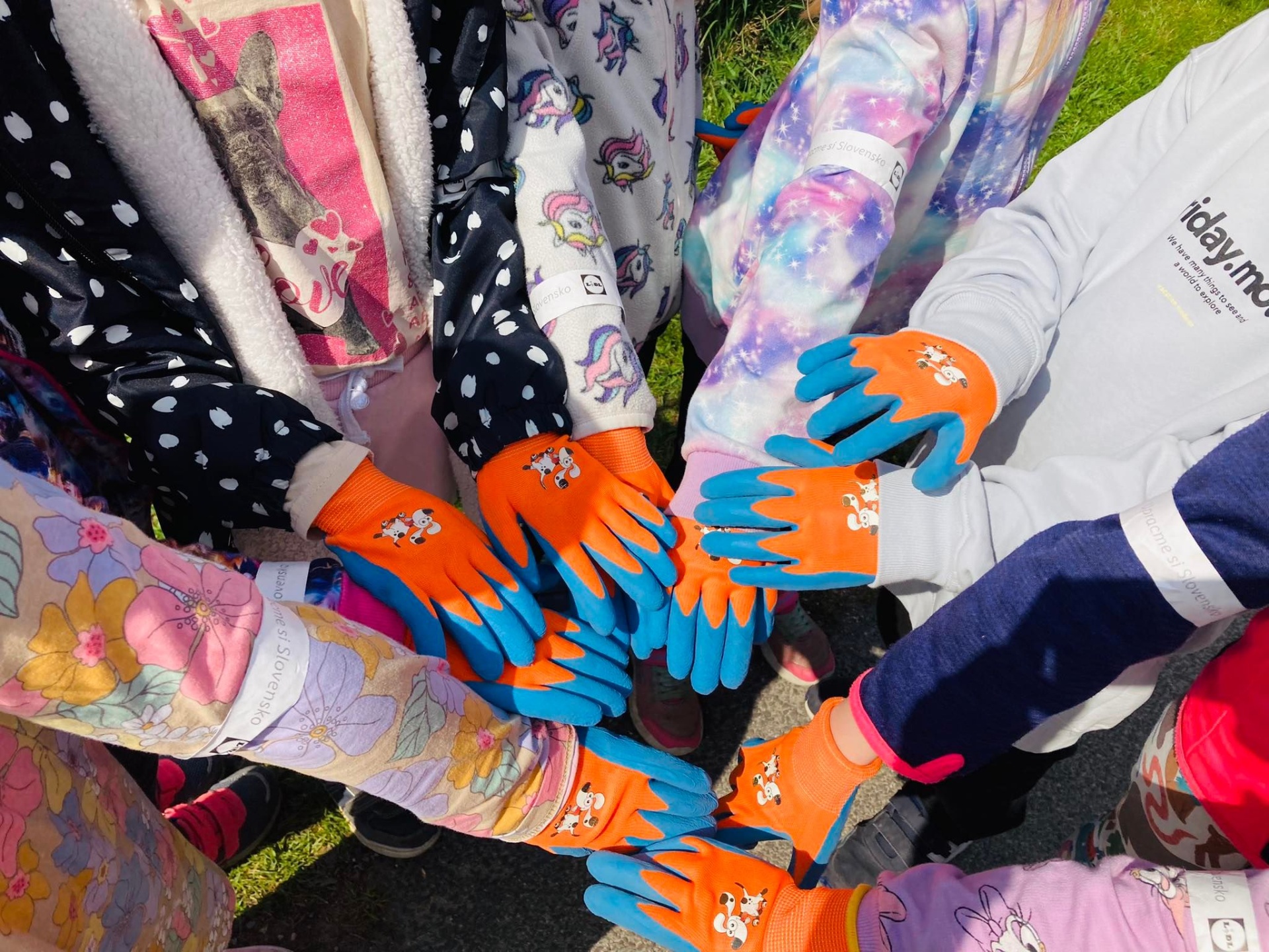 Kaufland a Lidl sú v udržateľnosti o krok vpred: šetria všetky zdroje, nielen plasty