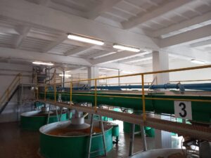 Sladovňa vo Veľkom Šariši oslavuje 45. výročie. Za minulý rok v nej navýšili produkciu sladu