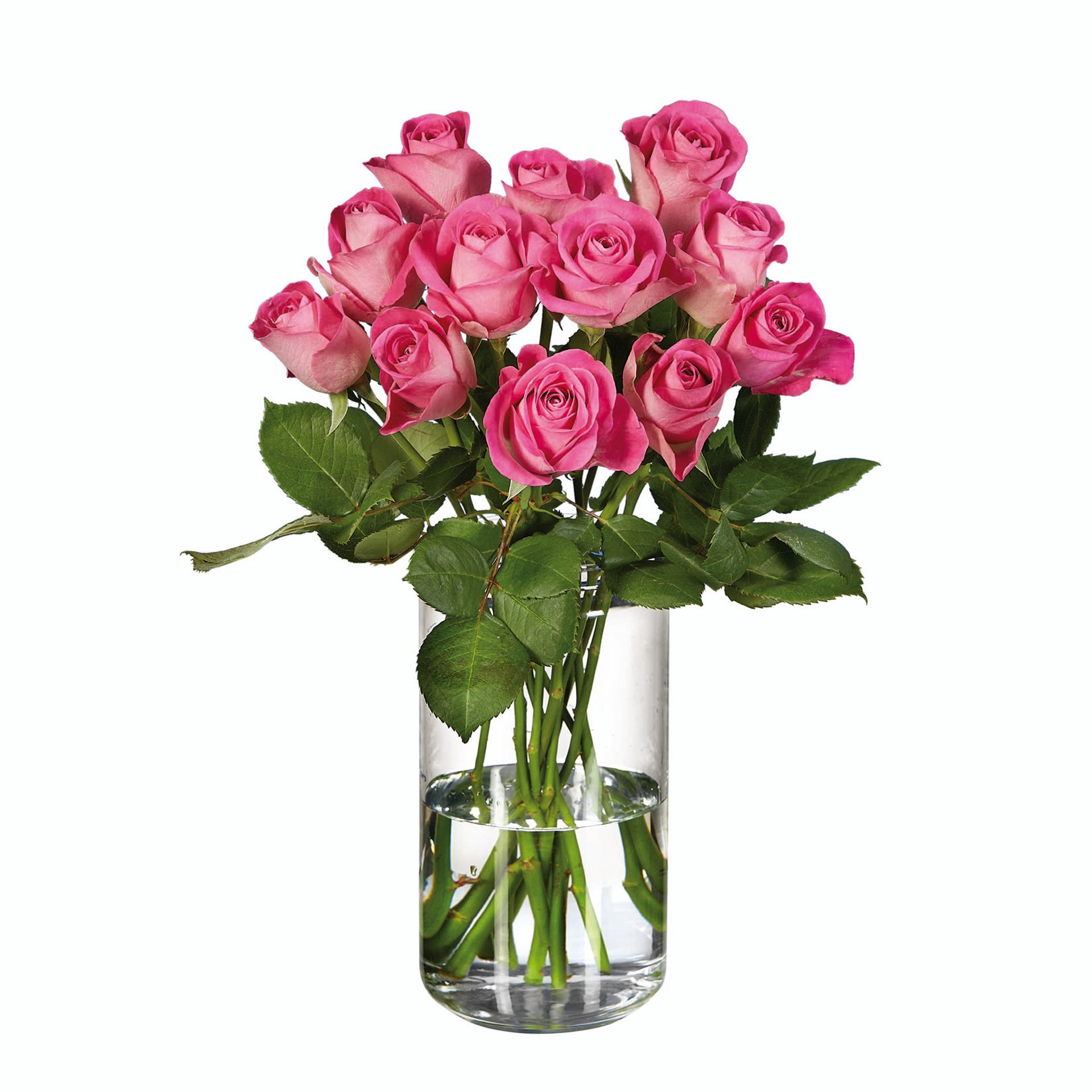 Oplatí sa, zastaviť sa. Lidl oslavuje MDŽ rozdávaním ruží svojim zamestnankyniam, ale aj zákazníčkam