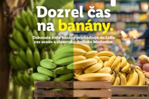Tajomstvo čerstvosti banánov z Lidla: Dozrievajú v slovenskej dedine Madunice